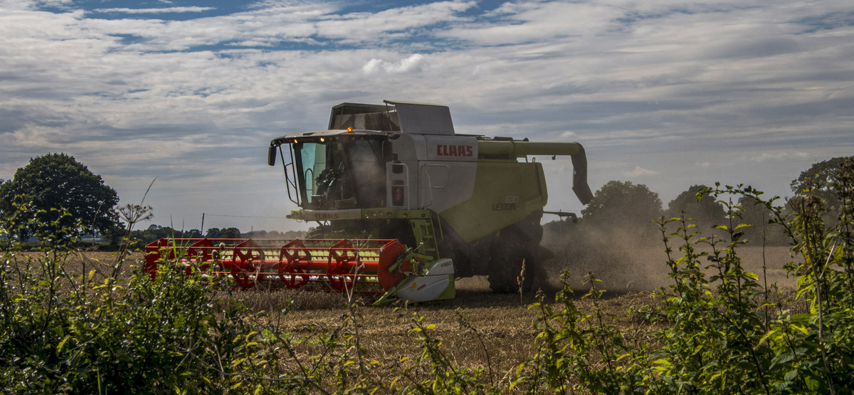 Combine harvester